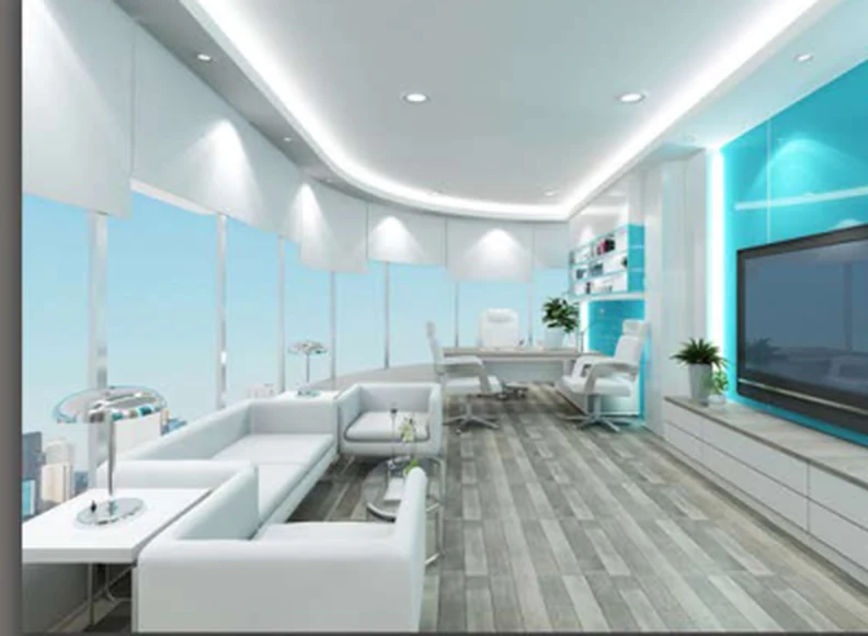 Hamanzi Pack Offices CEO Office